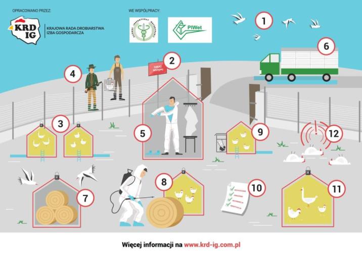 zasady&#x20;bioasekuracji-infografika