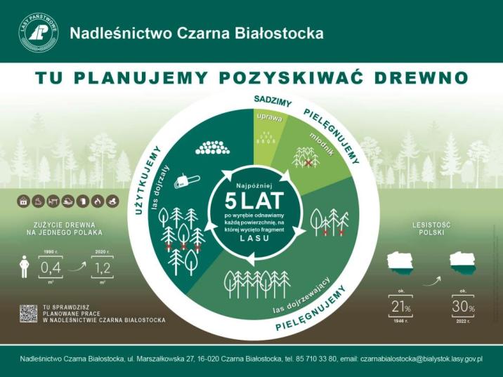 infografika&#x20;o&#x20;pracach&#x20;leśnych