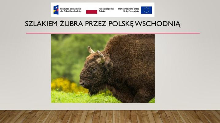 plakat&#x20;projektu&#x20;&#x22;Szlakiem&#x20;żubra&#x20;przez&#x20;Polskę&#x20;Wschodnią&#x22;